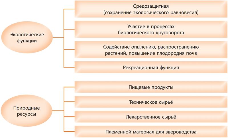 Уровни организации жизни — Википедия